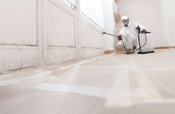 24/7 Emergency Black Mold Remediation experts in Camas, WA