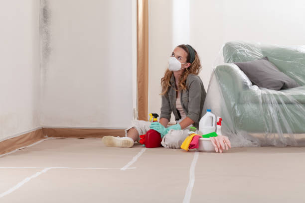 Reliable Black Mold Remediation contractor in Camas, WA by Car Mold Remediation